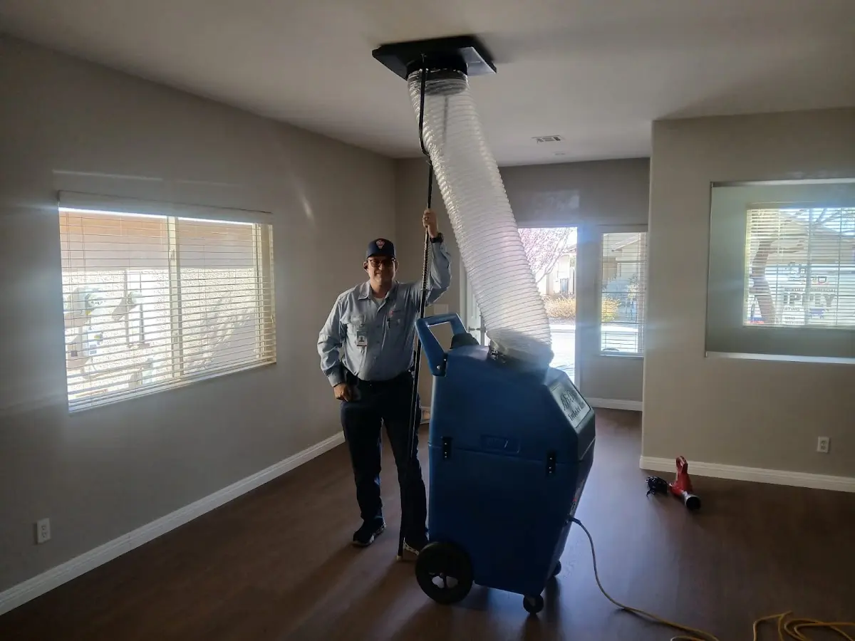 Professional Dryer Vent Cleaning work inside a Sturtevant home